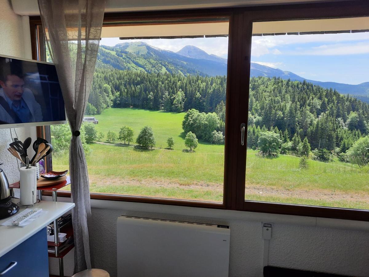 Les Glovettes Villard De Lans Luaran gambar