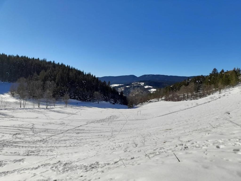 Les Glovettes Villard De Lans Luaran gambar